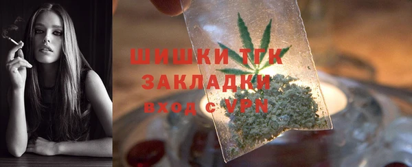 гидра Абаза