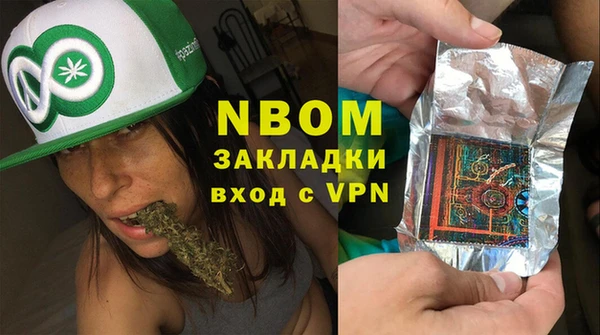 гидра Абаза