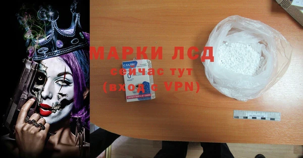 гидра Абаза