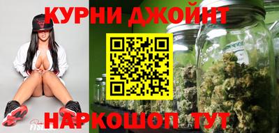 прущие грибы Будённовск