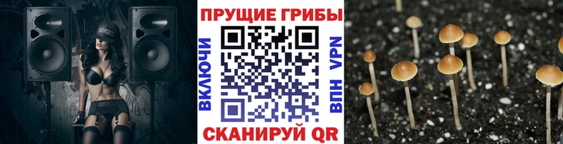Галлюциногенные грибы GOLDEN TEACHER  ОМГ ОМГ вход  Вичуга  цены  