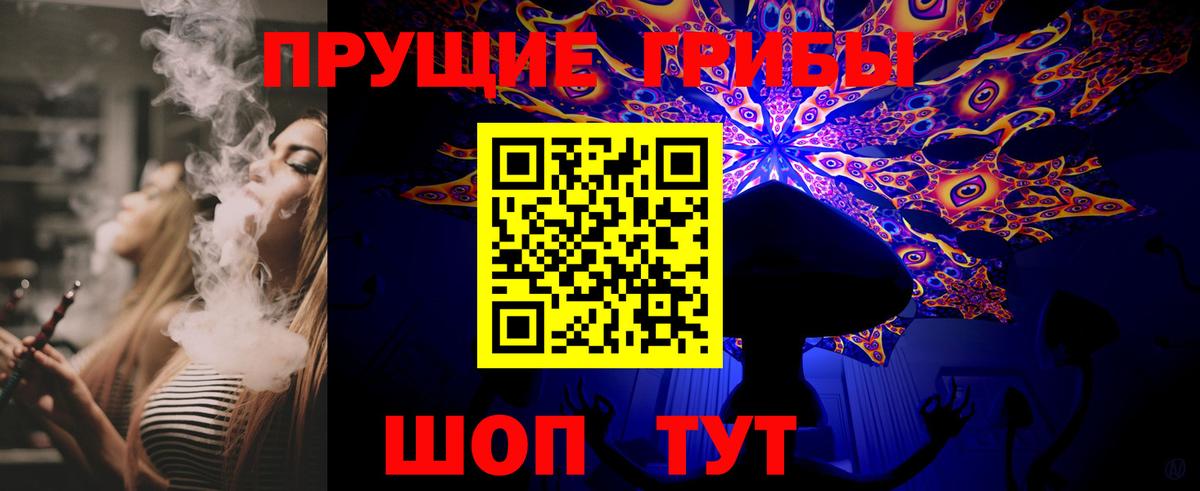 Псилоцибиновые грибы GOLDEN TEACHER Вичуга